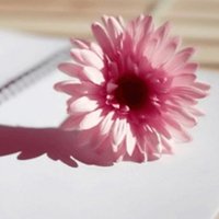 ʢһĸͷ(22)_WWW.AIGEXING.COM