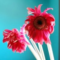 ʢһĸͷ(47)_WWW.AIGEXING.COM