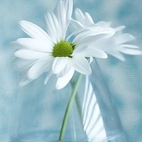 ʢһĸͷ(3)_WWW.AIGEXING.COM