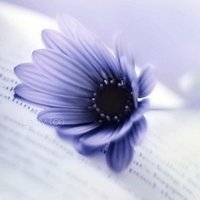 ʢһĸͷ(1)_WWW.AIGEXING.COM
