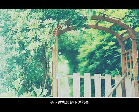 qqΨͼƬȫ(11)_WWW.AIGEXING.COM