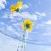 ļ΢ͷ(14)_WWW.AIGEXING.COM
