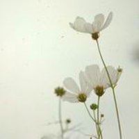 Ů󰮵ĴΨͷ(4)_WWW.AIGEXING.COM