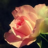 Ů󰮵ĴΨͷ(40)_WWW.AIGEXING.COM