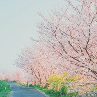 Ů󰮵ĴΨͷ(37)_WWW.AIGEXING.COM
