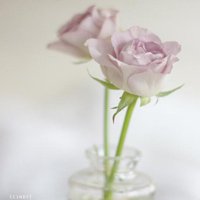 Ů󰮵ĴΨͷ(44)_WWW.AIGEXING.COM