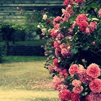 Ů󰮵ĴΨͷ(31)_WWW.AIGEXING.COM