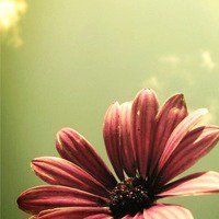 Ů󰮵ĴΨͷ(32)_WWW.AIGEXING.COM