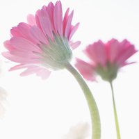 Ů󰮵ĴΨͷ(5)_WWW.AIGEXING.COM
