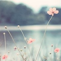 Ů󰮵ĴΨͷ(9)_WWW.AIGEXING.COM
