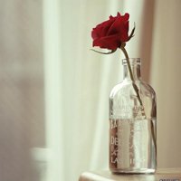 Ů󰮵ĴΨͷ(43)_WWW.AIGEXING.COM