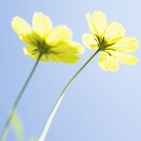 Ů󰮵ĴΨͷ(14)_WWW.AIGEXING.COM