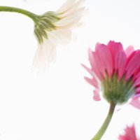 Ů󰮵ĴΨͷ(28)_WWW.AIGEXING.COM