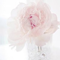 Ů󰮵ĴΨͷ(39)_WWW.AIGEXING.COM