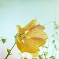 Ů󰮵ĴΨͷ(16)_WWW.AIGEXING.COM