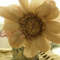 Ů󰮵ĴΨͷ(27)_WWW.AIGEXING.COM