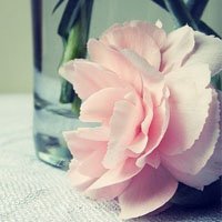 Ů󰮵ĴΨͷ(26)_WWW.AIGEXING.COM
