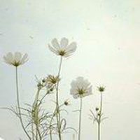 Ů󰮵ĴΨͷ(19)_WWW.AIGEXING.COM