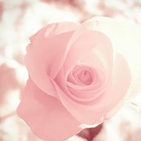 Ů󰮵ĴΨͷ(35)_WWW.AIGEXING.COM