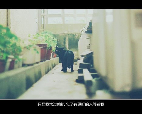 ̫qq־ȫͼƬ(3)_WWW.AIGEXING.COM