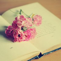 ƽĵĸͷ(31)_WWW.AIGEXING.COM