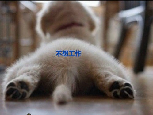 õʱ˸дͼƬ(10)_WWW.AIGEXING.COM