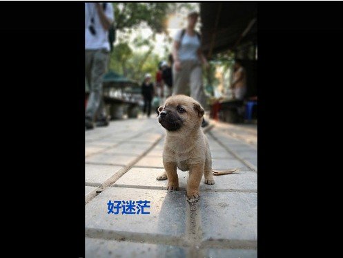 õʱ˸дͼƬ(17)_WWW.AIGEXING.COM