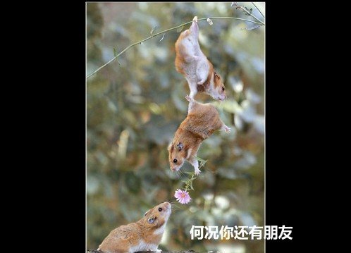 õʱ˸дͼƬ(34)_WWW.AIGEXING.COM