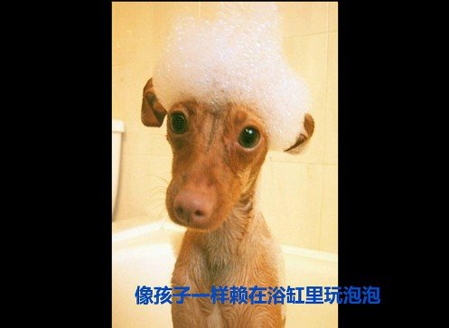 õʱ˸дͼƬ(23)_WWW.AIGEXING.COM