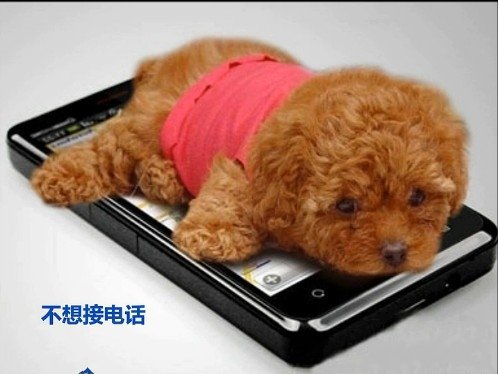 õʱ˸дͼƬ(9)_WWW.AIGEXING.COM