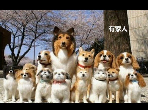 õʱ˸дͼƬ(35)_WWW.AIGEXING.COM