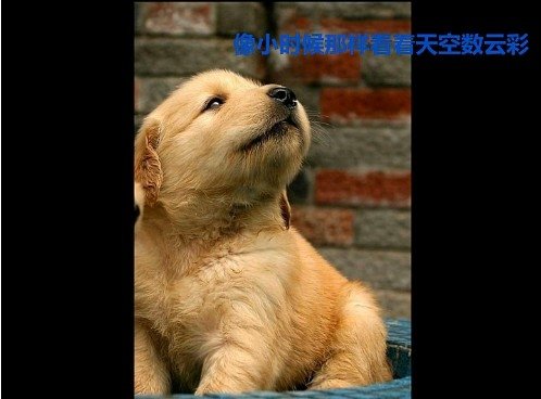 õʱ˸дͼƬ(24)_WWW.AIGEXING.COM