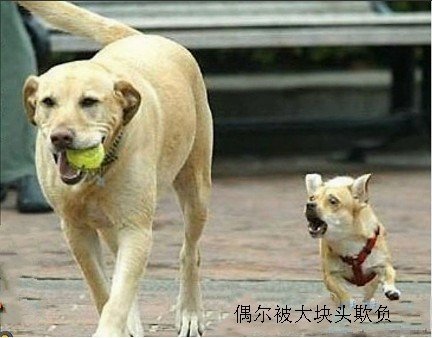 õʱ˸дͼƬ(2)_WWW.AIGEXING.COM