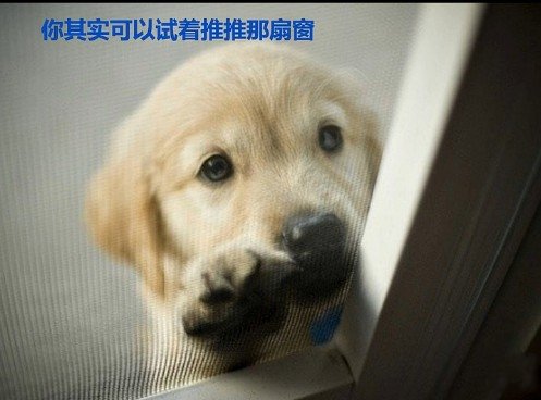 õʱ˸дͼƬ(43)_WWW.AIGEXING.COM