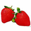 StrawberryݮQQͷ(6)_WWW.AIGEXING.COM