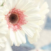 ͯɰ¸ͷ(9)_WWW.AIGEXING.COM