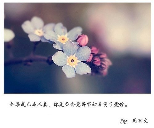 ŷƤִͼ(4)_WWW.AIGEXING.COM