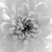 ɫ򵥵¸ͷ(23)_WWW.AIGEXING.COM