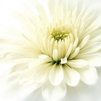 ɫ򵥵¸ͷ(25)_WWW.AIGEXING.COM