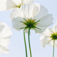 ɫ򵥵¸ͷ(28)_WWW.AIGEXING.COM