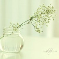 ʧĵİΨͷ(31)_WWW.AIGEXING.COM