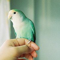 ʧĵİΨͷ(42)_WWW.AIGEXING.COM