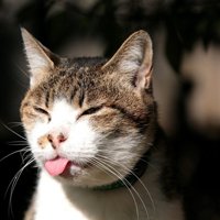 мܲסèȸͷ(34)_WWW.AIGEXING.COM