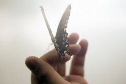 2015˸˵˵ȫ_ڵȵ㻹û