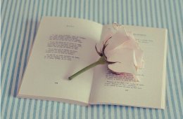 еиǩ2015 Ұ㵫Ҹ˵