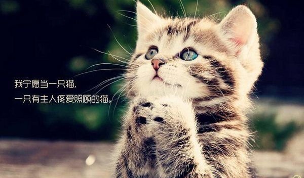 ܶɰèͼƬȫ(2)_WWW.AIGEXING.COM