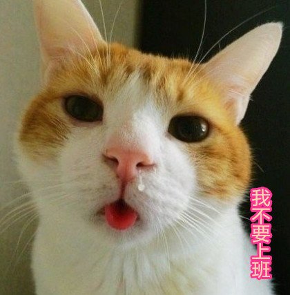 ѧϰͼƬ ںһ(2)_WWW.AIGEXING.COM