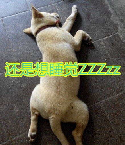 ѧϰͼƬ ںһ(1)_WWW.AIGEXING.COM