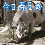 ձ ߱gif(5)_WWW.AIGEXING.COM