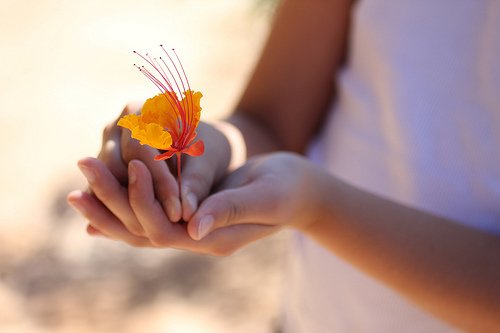 2015µĸ԰ǩ ˵㻹ңҰִ(1)_WWW.AIGEXING.COM